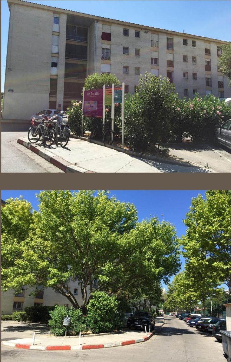 Studio 50M Tram Parking Gratuit 13Min Gare Montpellier Extérieur photo